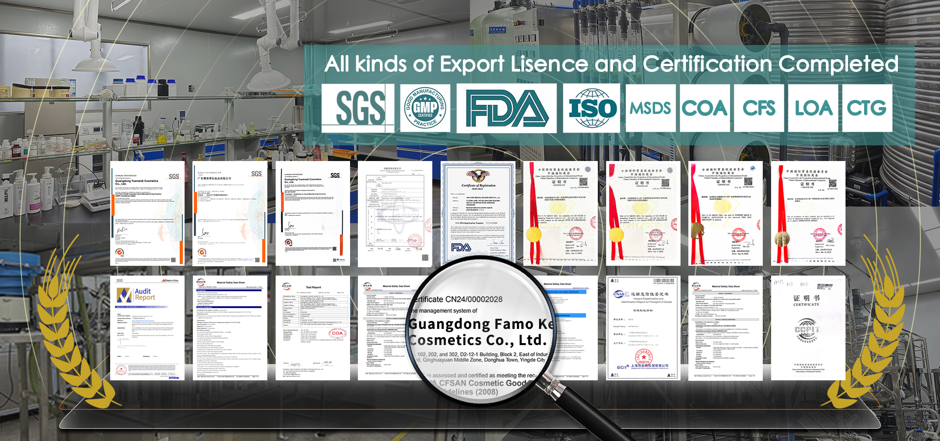 kwaliteit de room van de haarkleur fabriek