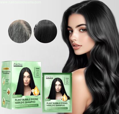 OEM Plant Hair Dye Shampoo Fast Gray Coverage Bubble Color for Home Use Black Hair Dye Shampoo Hair Dye Factory Supply MOQ 5000 PCS