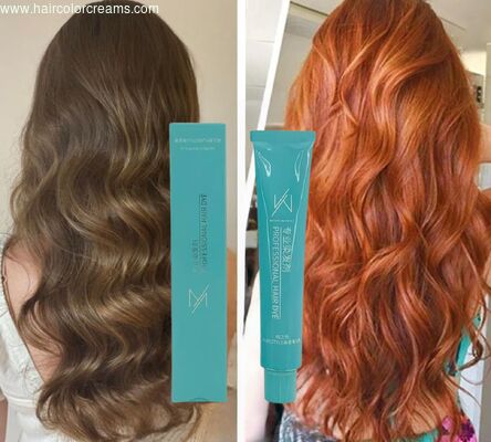 SHUJI 90ml OEM Long-Lasting Herbal Hair Color Cream Professional Salon Use Permanent Color for Salon