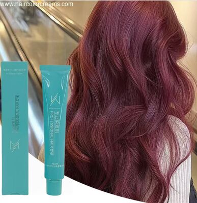 SHUJI 90ml OEM Long-Lasting Herbal Hair Dye Cream Professional Salon Use Permanent Color dye Ammonia Free