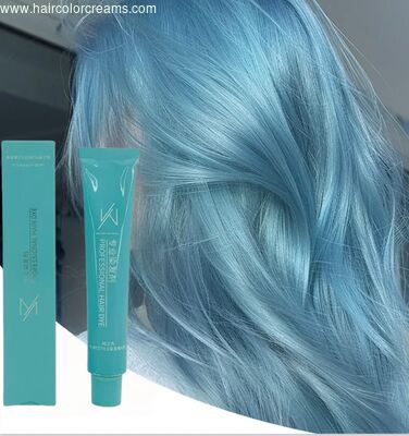 SHUJI 90ml OEM Pewarna Rambut Herbal Organik Tahan Lama untuk Penggunaan Salon Profesional Pewarna Rambut Permanen