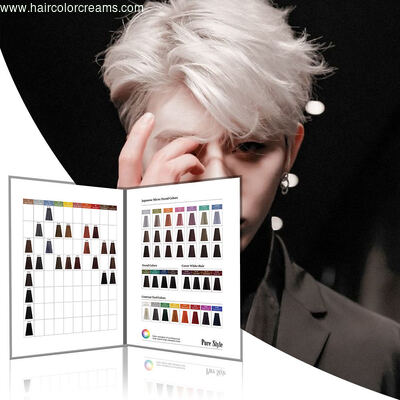 Purestyle Premium OEM/ODM Hair Color Swatch Book 47 Colors  Accurate Color Matching High Quality for Salon