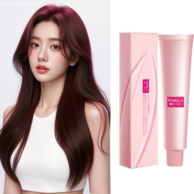 Pandla Professional OEM Hair Color Cream Hot Sale Natural Hairstyle Color Hair Dye Factory Whoelsale
