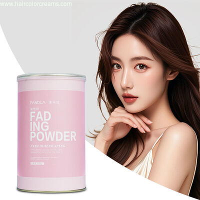 Pandla Professional Salon Fast Fading Hair Bleaching Powder in Bulk 500g OEM Available