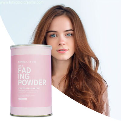 Pandla Original OEM Hair Dye Bleach Powder Professional for Salon Dust Free 500g Factory Wholesale