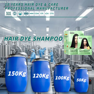 OEM Bubble Hair Color Shampoo Raw Material  Gray Coverage Temporary Hair Color Shampoo Professional Hair Color Manufacturer