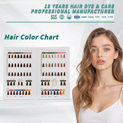 Premium Quality Blonde Hair Color Chart Ideal Salon Communication Tool OEM Hair Colour Chart Book 39 Colors