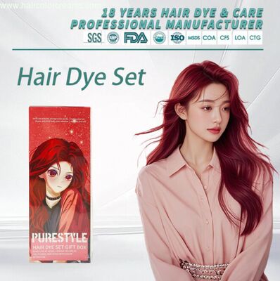 OEM ODM Hair Dye Factory  Permanent Hair Dye Kit  Herbal Formula Professional Hair Coloring Cream