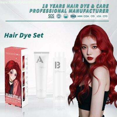 Permanent Hair Dye Kit  Herbal Formula Professional Hair Coloring Cream  OEM Hair Color Manufacturer