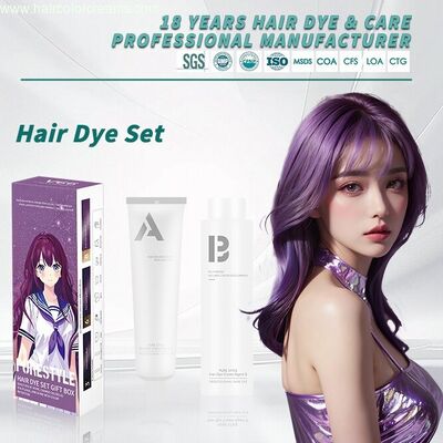 OEM Hair Dye Factory Semi Permanent Home Hair Dye With Hair Color Developer Organic Hair Colour