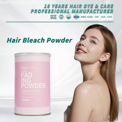 Pandla Blue Hair Bleach Powder Professional Salon Care Lightener OEM Permanent Hair Dye