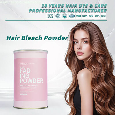 OEM Bleach Hair Dye Powder Dust Free Herbal Scent Wholesale Hair Color Bleaching Powder Factory Supply