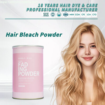 Pandla Bleach Powder Hair Color Gentle Dust Free Formula OEM Salon Care Lightener Factory Wholesale