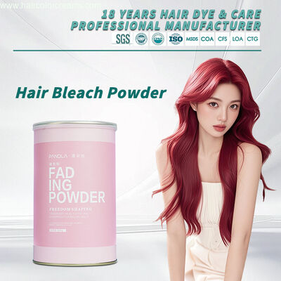Pandla OEM Hair Color Removers Bleach Powder Dust Free Salon Use Color Bleach Powder Hair Color Manufacturer Supply