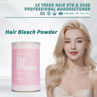 Professional Hair Bleaching Powder OEM Dust Free Wholesale Herbal Formula Wholesale Hair Color Manufacturer