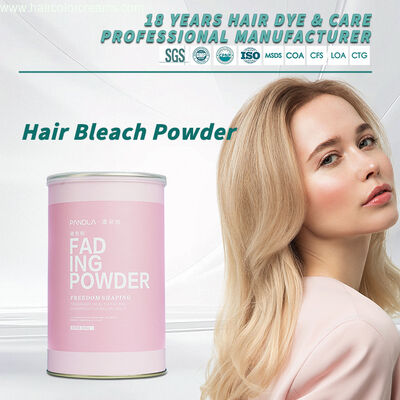 Pandla Gentle Hair Color Bleach Powder OEM Available Herbal Fragrance Blue Color Hair Lightener Hair Dye Factory Wholesale